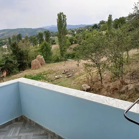 Konukevi Erjon Librazhet